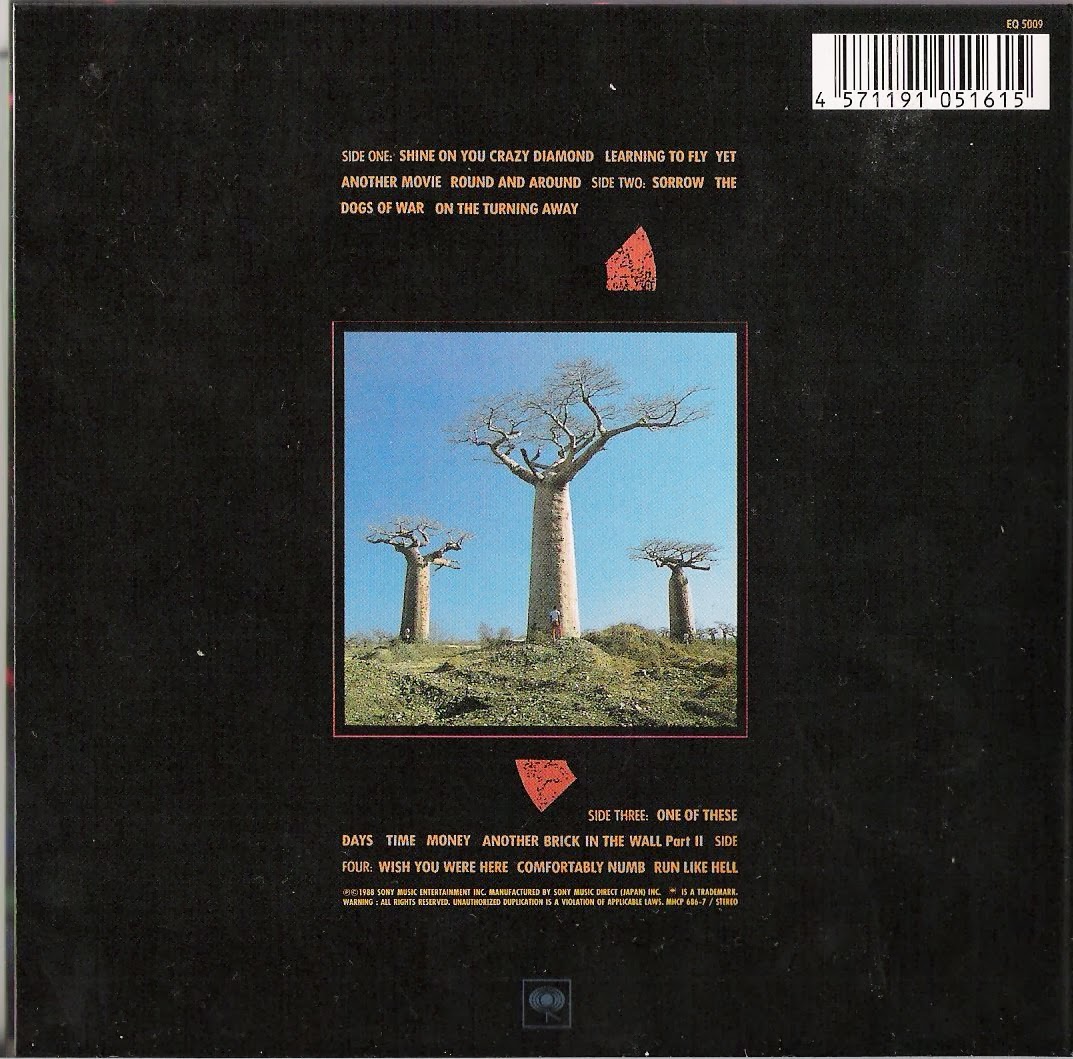 ThinkFloyd61 Delicate Sound of Thunder 25th Anniversary