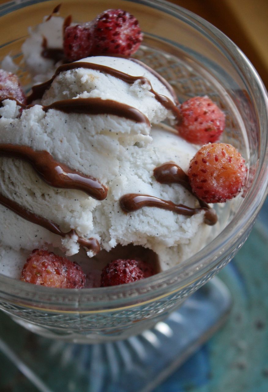 Run Hard Eat Clean Ice Cream in Your Blender