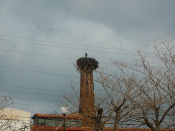 Polichnitos Resident Storks
