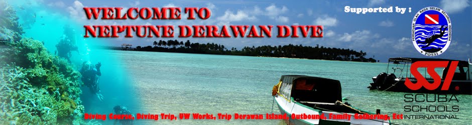 Neptune Derawan Dive