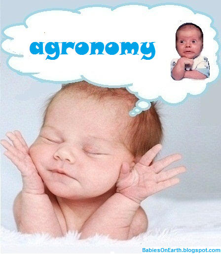agronomy agronomy