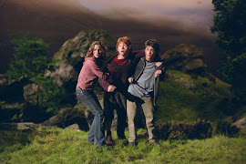 # 84 Harry Potter and the Prisoner of Azkaban and Harry Potter and the Chamber of Secrets