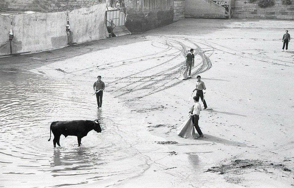 Candás toros