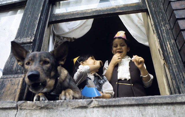 imagenes imagenes