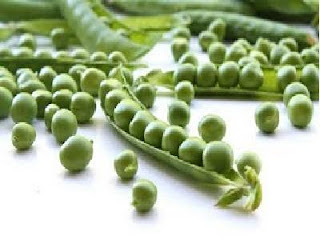 kandungan nutrisi pada kacang hijau