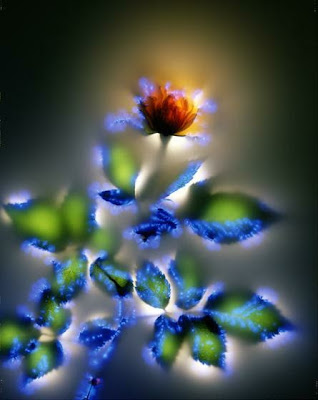 nouvelle rencontre maiko télécharger