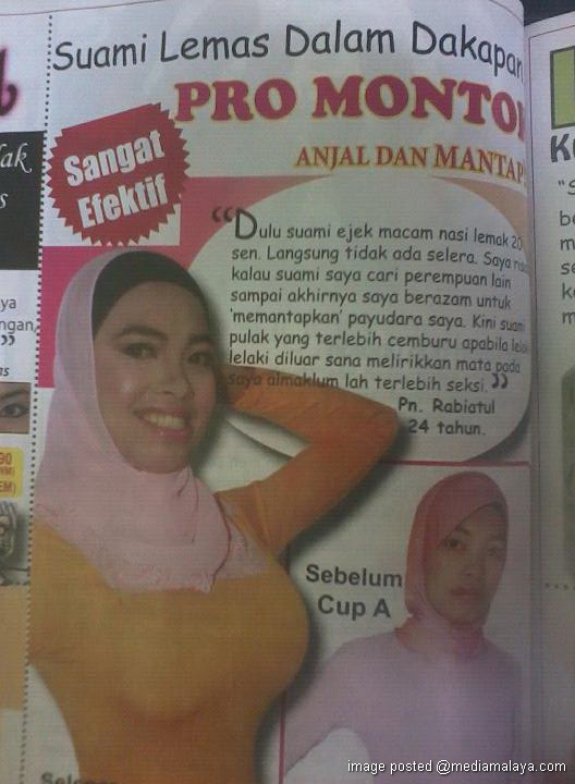 Artis Malaysia Melampau