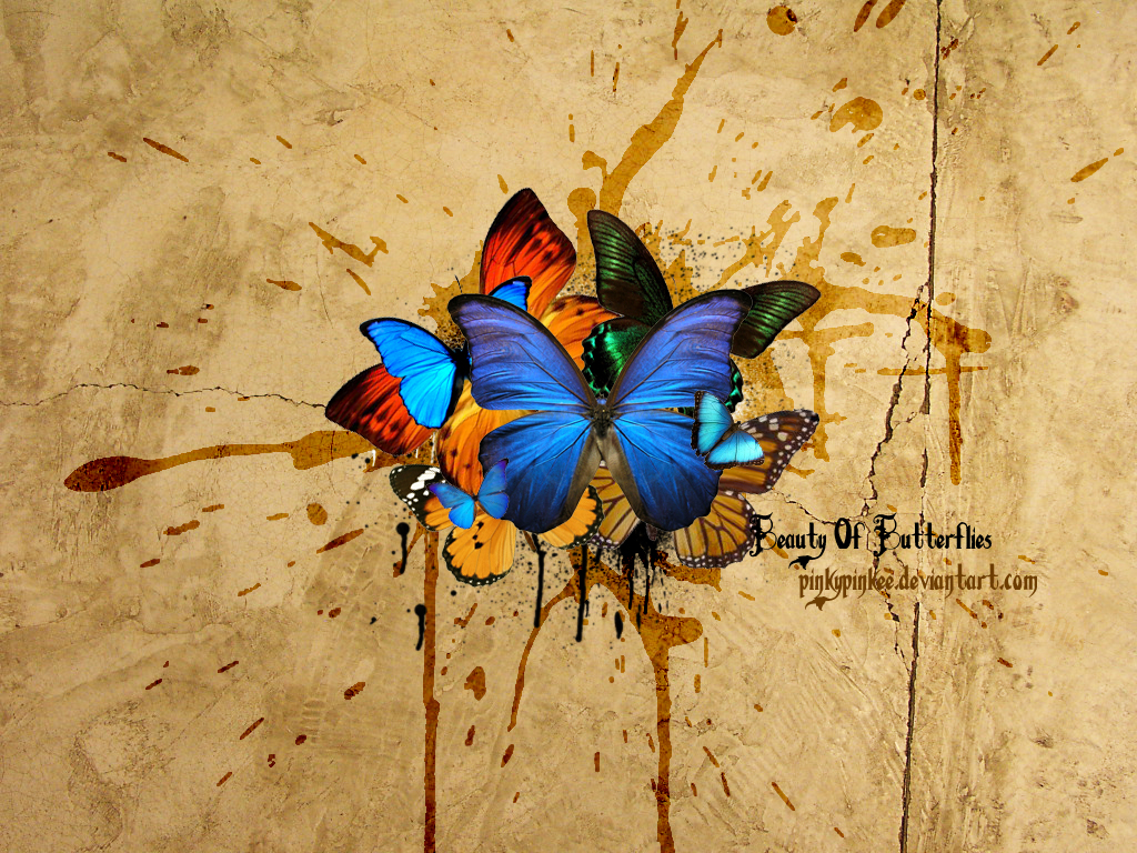 http://1.bp.blogspot.com/-87t999VfOSY/UHr2Bd7oMlI/AAAAAAAAIDE/VlAKgKGSUGI/s1600/Beauty_of_butterflies_by_PinkyPinkee.jpg