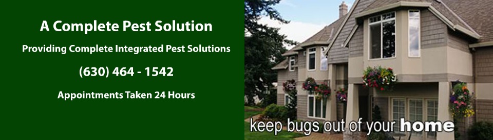 A Complete Pest Solution