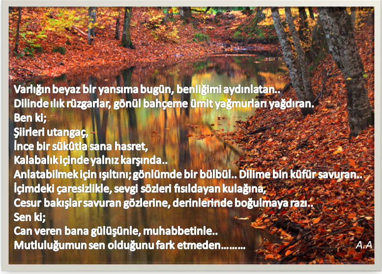 Ay Isiginin Felaket Gunlukleri Kusursuz Yansima