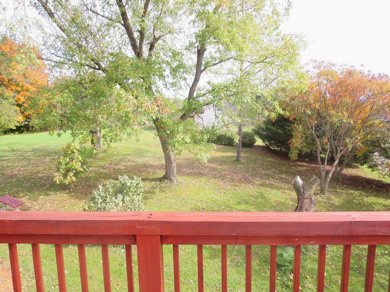 Apartment on Morningside, Lexington, Virginia