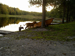 Fina oaser i närheten