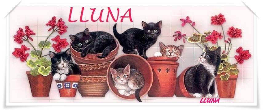 LLUNA