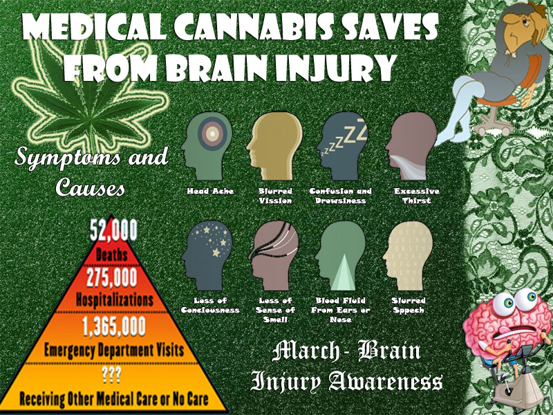 Medical Cannabis Saves From Brain Injury Cannabis Medical World