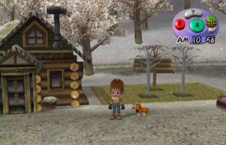 Harvest Moon A Wonderful Life Special Edition Ps2 Iso Converter