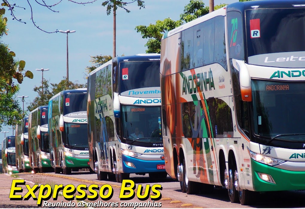 Expresso Bus