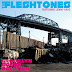 The Fleshtones - Tournée 2011
