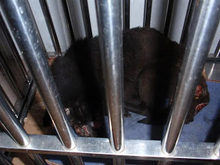 [Image: F200903101140421800.jpg]