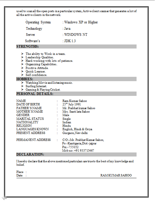 border patrol resume
