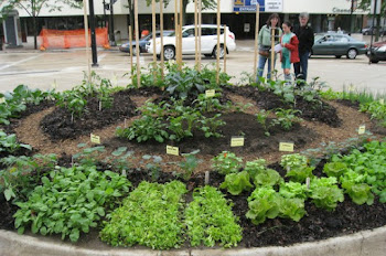 Edible Landscaping