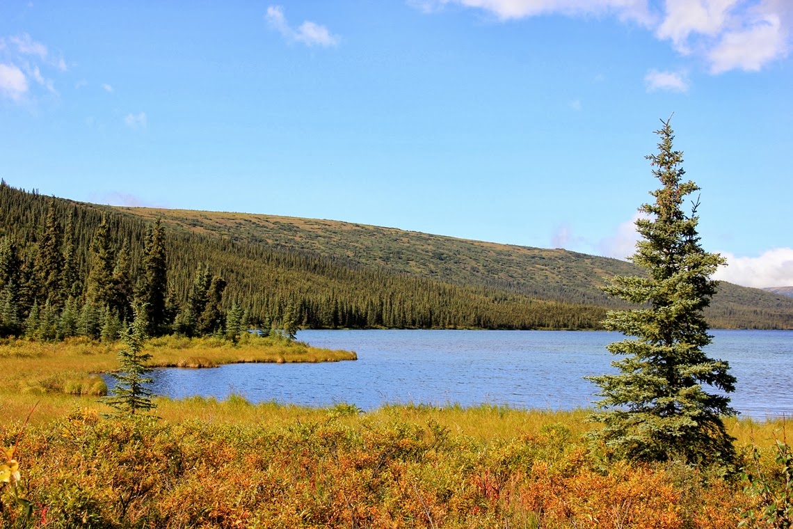 Joy of Discovery Wonder Lake, Denali National Park