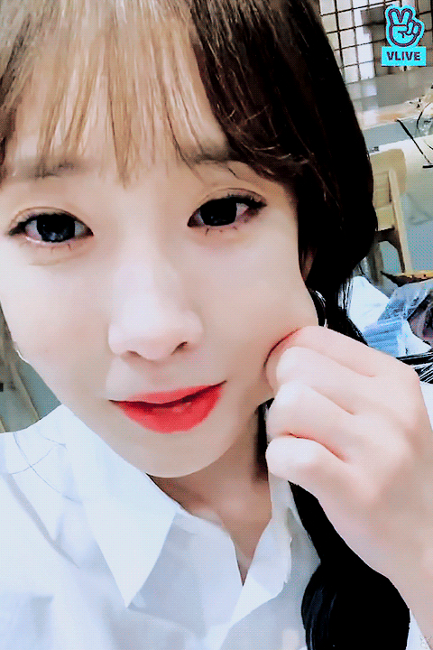6.gif