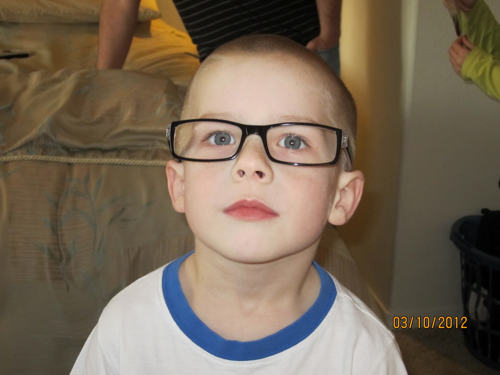 Preston Glasses