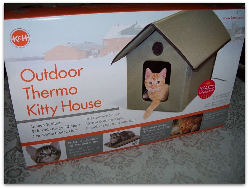 Cat Adoption Guide Ways to Keep Garage Cats Warm in Winter