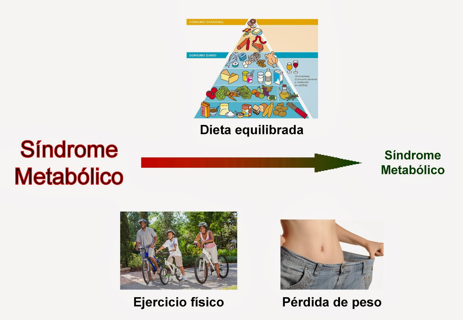 Hormonas : Síndrome Metabólico: la epidemia del siglo XXI Hormonas : Síndrome Metabólico: la epidemia del siglo XXI