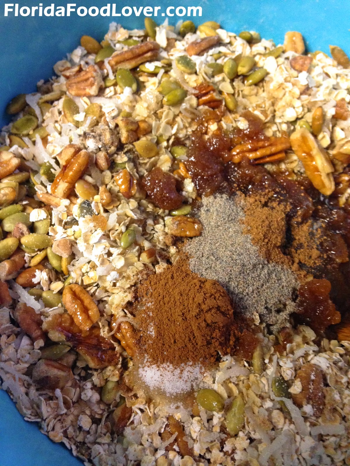 Florida Food Lover Salty Olive Oil Granola