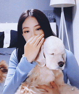 1564921955%2B%25284%2529.gif
