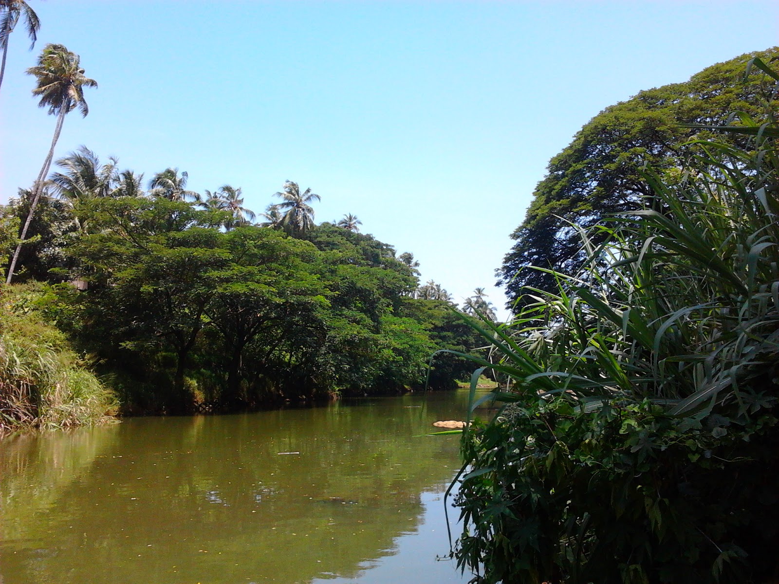 Redwine Malayalam karamana river kerala tourist place