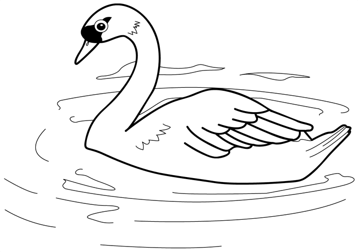Beautiful Swan Coloring Pages To Girls