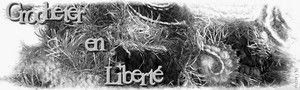 Crochet en liberté