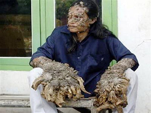 ENFERMEDAD PIEL PERRO enfermedad piel perro: