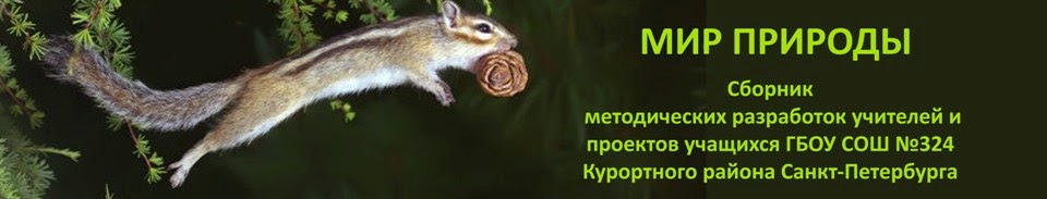 Мир природы