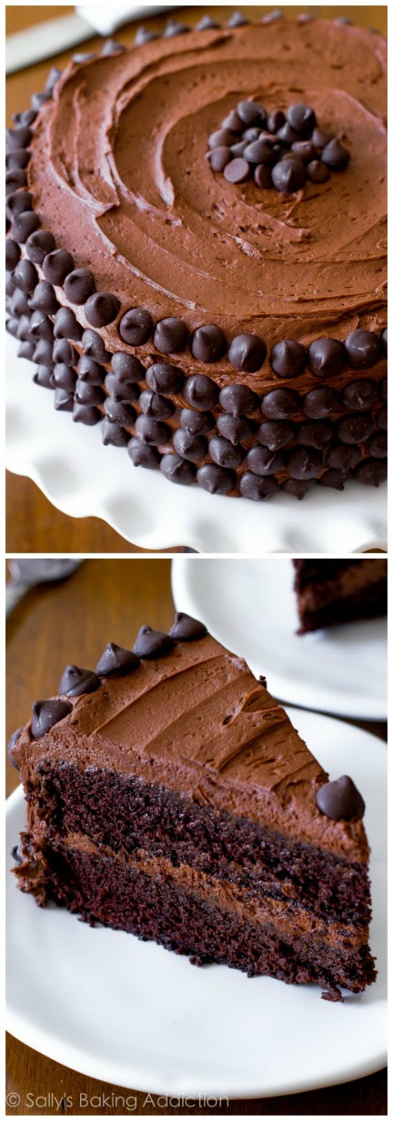 have your cake cozy