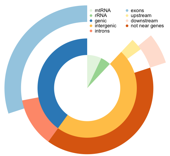 How To Make A Pie Chart In R Studio