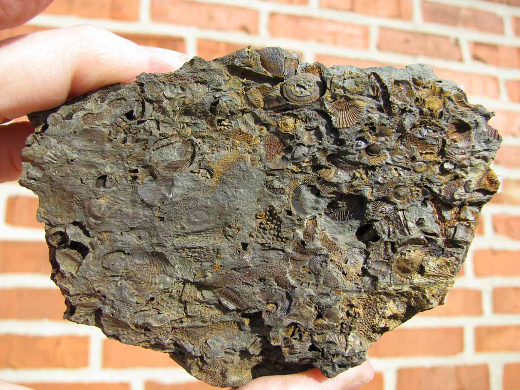 Views of the Mahantango Roseburg Quarry