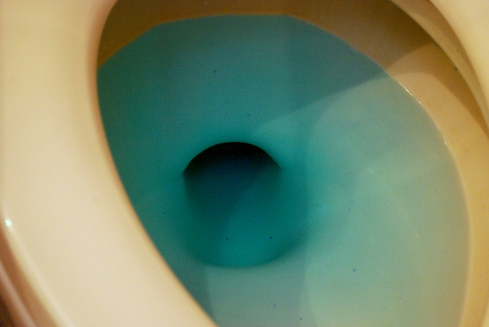 Tattered Threads & Willing Hands 2000 Flushes & the Toilet