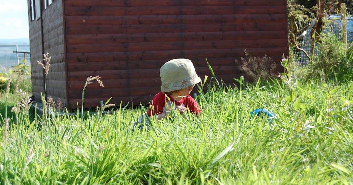 What Does A Garden Mean To You Life on Pig Row