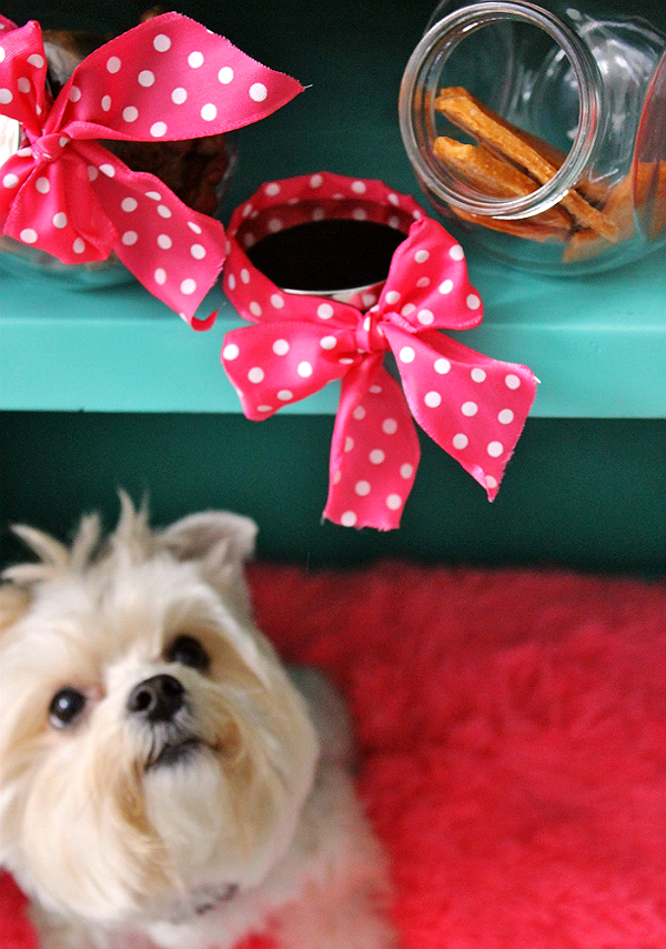 Stock up on your pet's favorite Big Heart Pet brand treats, Pup-Peroni, Milk-Bone, and USA Made Milo's Kitchen at Walmart this Valentine's Day and #TreatThePups! #Ad #CollectiveBias
