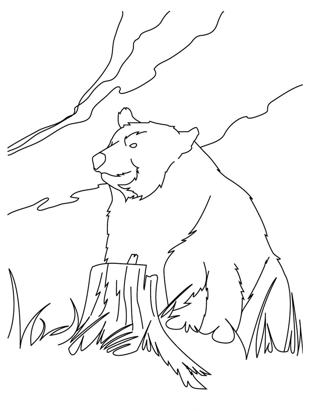 Bear Coloring Pages Realistic | Realistic Coloring Pages