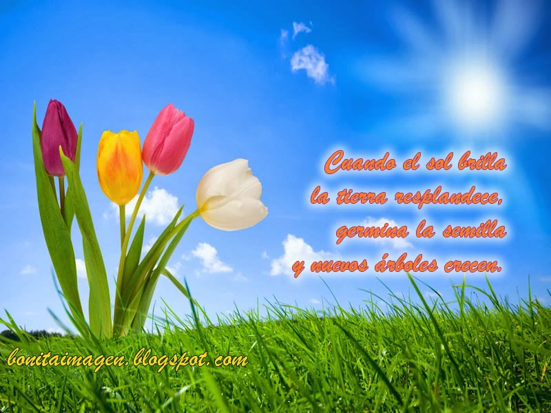 Cuando el sol brilla - Imágenes con frases de amor