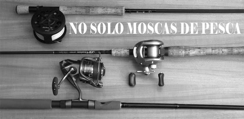 NO SOLO MOSCAS DE PESCA