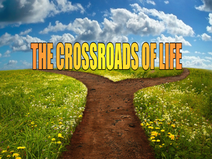 Executive Assistant's Corner When Do You Know It's Time To Go?