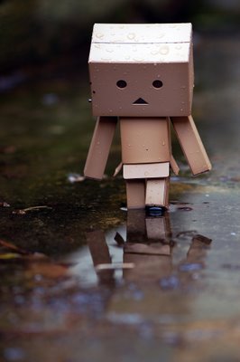 Danbo  on Winter Come  Like The Snow Goes Down To The Earth