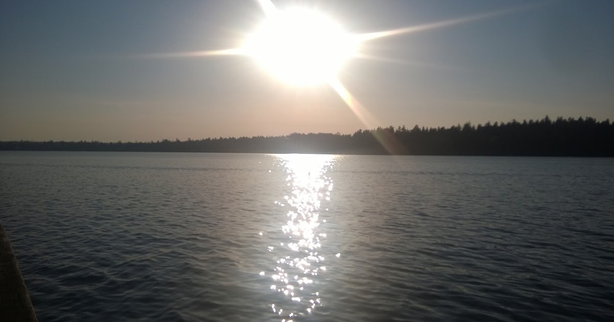 Life Is A Reflection Of You!