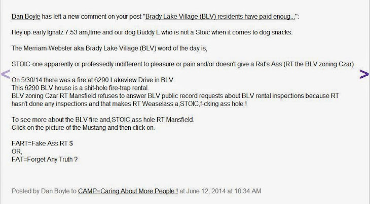 Brady Lake Village zoning Czar RT Mansfield should be made to do his job or Fired !