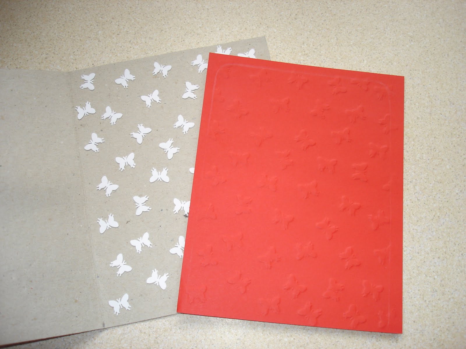 Bev's Crafty Place DIY Embossing Folder